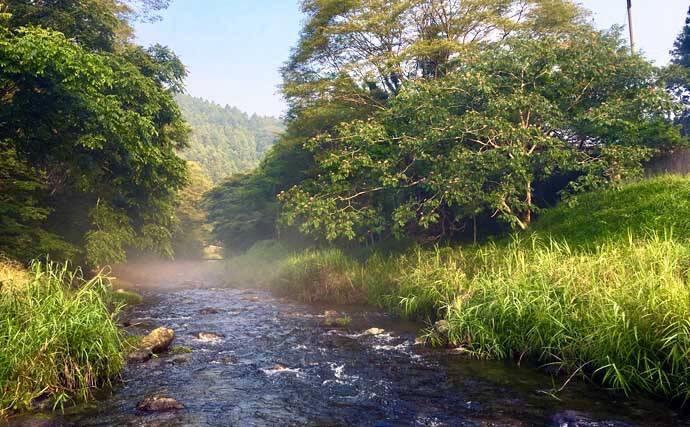 名栗川のテンカラ釣りでヤマメと対面　台風被害から見事に回復【埼玉】