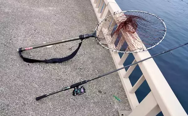 「【九州2021】春アオリイカエギング入門　ポイント選定＆基本の釣り方」の画像