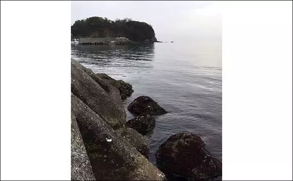 「今さら聞けないアジングのキホン：サカナの「有無」の見極め方」の画像