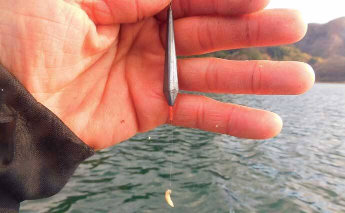 『メガワカサギ』釣りで「1,117尾」の大釣り　総重量は7.2kg【西湖】