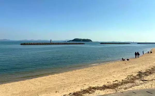 「潮干狩りでマテガイ続々　「穴」に「塩」入れるとニョキニョキ【愛知】」の画像