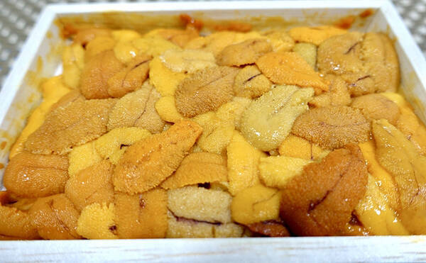 ウニが一年中食べられてかつ美味しいワケ 種類が多いから常に旬 21年5月9日 エキサイトニュース