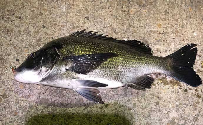 まずはここから覚えたい ライトブリーム 用語集 タックル 釣り方関連 21年5月9日 エキサイトニュース