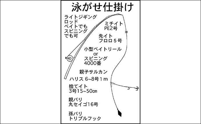 21東海 イカダからの大物狙い 泳がせ釣り のキホン 21年5月12日 エキサイトニュース