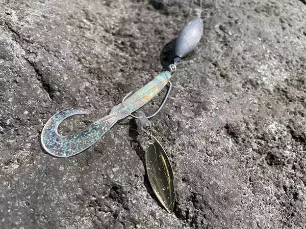 「人気上昇中『アカハタゲーム』のキホン：4つの代表的「リグ（仕掛け）」」の画像