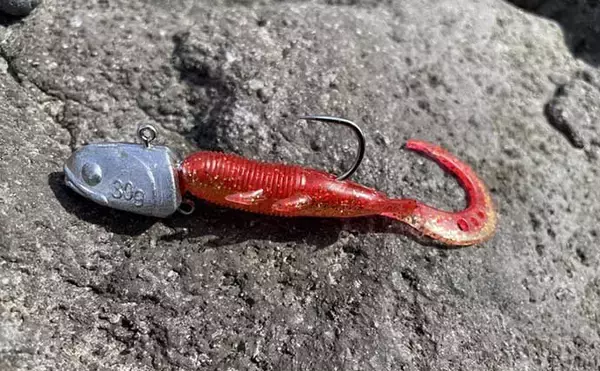 「人気上昇中『アカハタゲーム』のキホン：4つの代表的「リグ（仕掛け）」」の画像