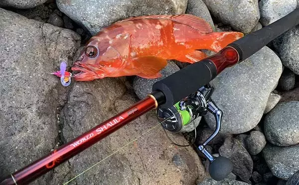 人気上昇中『アカハタゲーム』のキホン：4つの代表的「リグ（仕掛け）」