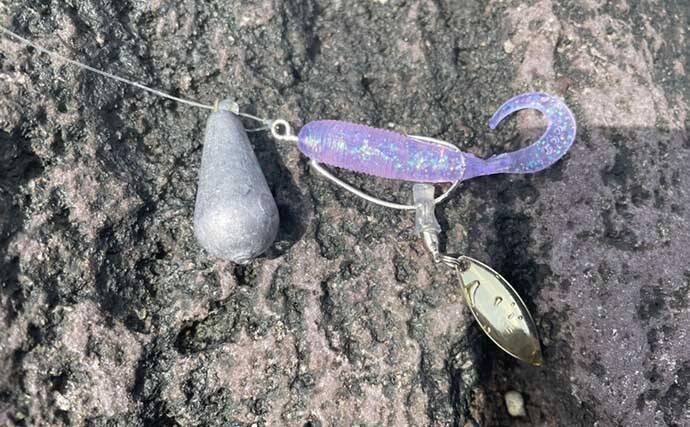 人気上昇中『アカハタゲーム』のキホン：4つの代表的「リグ（仕掛け）」