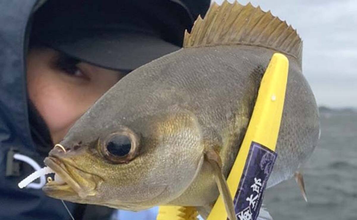 バチコン でイサキに挑戦 まさかのメジナまでキャッチ 有希丸 21年5月21日 エキサイトニュース