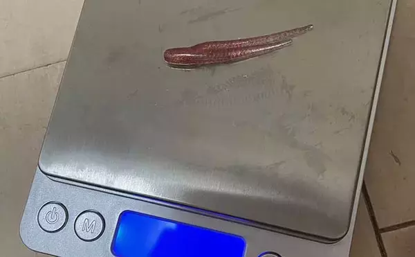 『ライトゲーム』ステップアップ解説：「マイクロスケール」活用術