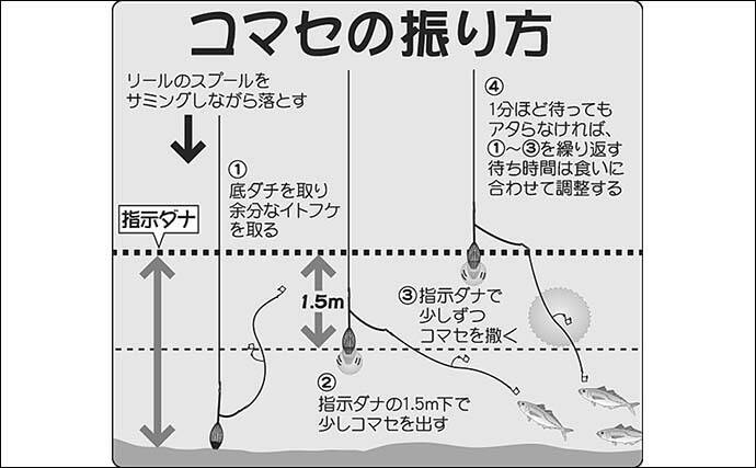 97 以上節約 ネコポス対象品 ハヤブサ Sn170 海戦ウィリー五目フロロ3 2 3 7 4 仕掛け Sakcc Ca 97 以上節約 ネコポス対象品 ハヤブサ Sn170 海戦ウィリー五目フロロ3 2 3 7 4 仕掛け Sakcc Ca