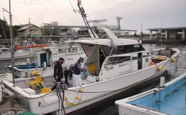 「鷹巣沖で『完全フカセ釣り』解禁　70cm超えマダイラッシュ【福井】」の画像