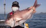「鷹巣沖で『完全フカセ釣り』解禁　70cm超えマダイラッシュ【福井】」の画像1