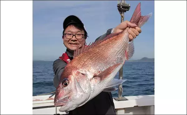 「鷹巣沖で『完全フカセ釣り』解禁　70cm超えマダイラッシュ【福井】」の画像