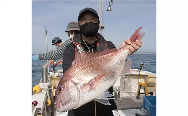 「鷹巣沖で『完全フカセ釣り』解禁　70cm超えマダイラッシュ【福井】」の画像