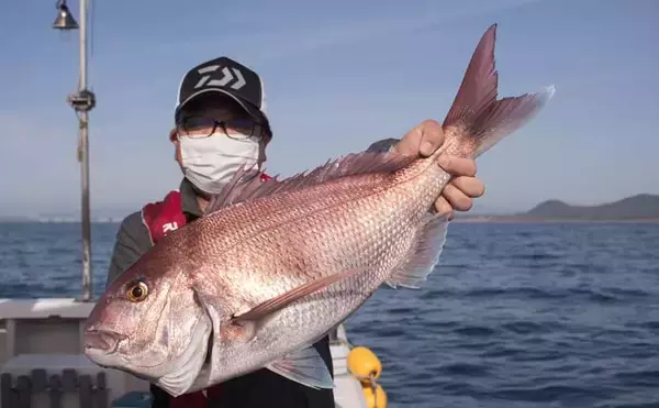 「鷹巣沖で『完全フカセ釣り』解禁　70cm超えマダイラッシュ【福井】」の画像