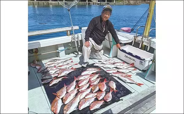 「鷹巣沖で『完全フカセ釣り』解禁　70cm超えマダイラッシュ【福井】」の画像