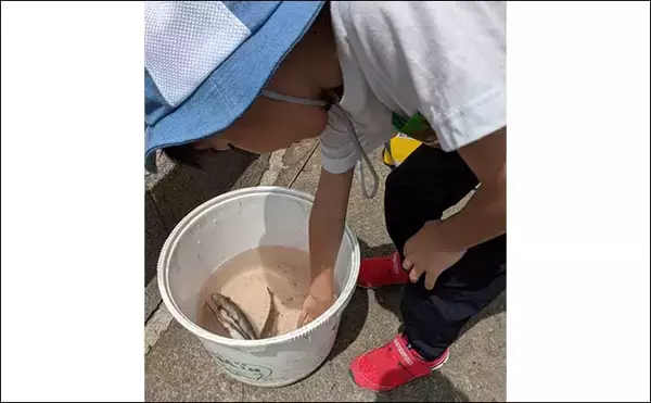 「ゲームに夢中の子供と管理釣り場を満喫　釣り好きにさせるコツとは？」の画像