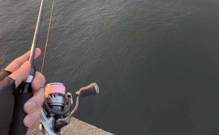 アジング ステップアップ解説 Pe か エステル かは性格次第 21年5月27日 エキサイトニュース アジング ステップアップ解説 Pe か エステル かは性格次第 21年5月27日 エキサイトニュース