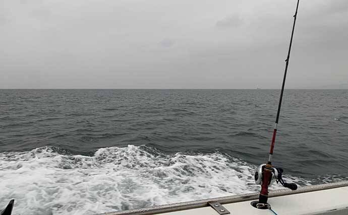 相模湾マルイカ釣りで84匹　敢えての「雨の日」狙いが的中？【一俊丸】