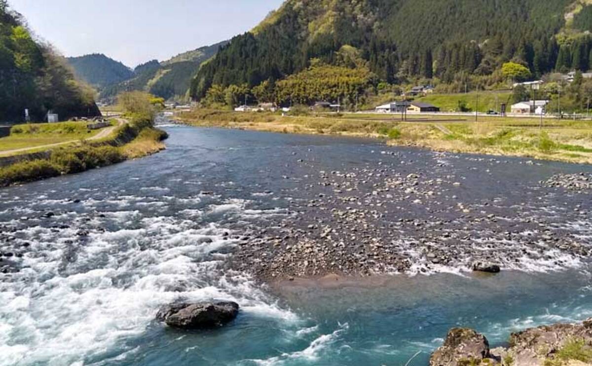 21岐阜 鮎トモ釣りオススメ河川 長良川郡上漁協管内 21年5月31日 エキサイトニュース