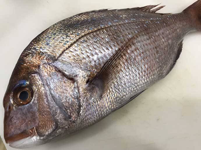 釣り人的 食品ロス 削減レシピ 白身魚のすり身揚げ 21年5月31日 エキサイトニュース