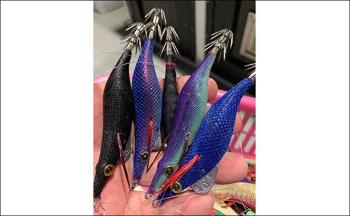 仙台湾で春の『ヤリイカメタル』絶好調　オモリグで52杯【漁安丸】