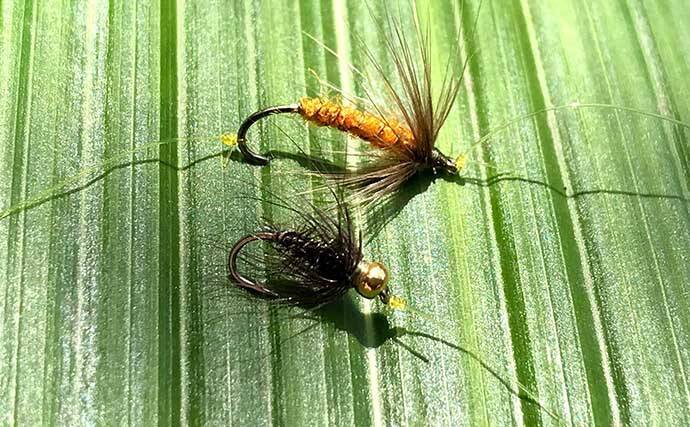 『テンカラ』ステップアップ解説：「二本毛バリ」仕掛けは効果的か？