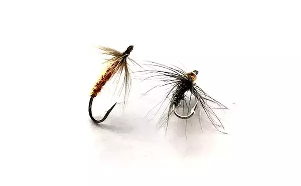 「『テンカラ』ステップアップ解説：「二本毛バリ」仕掛けは効果的か？」の画像