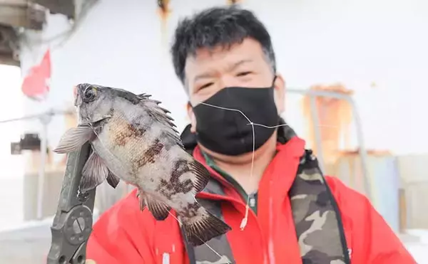 「サビキで狙う極上『メクリアジ』釣り　クーラー満タンの好釣果【兵庫】」の画像