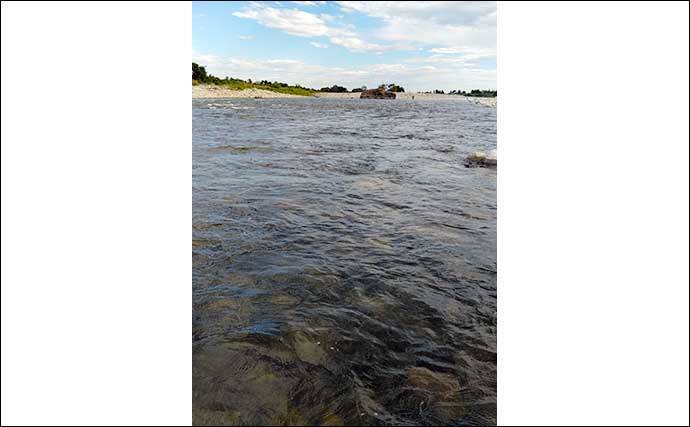 【2021富山】鮎トモ釣りオススメ河川：神通川　アタリ強烈＆引き強し