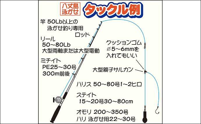 離島での泳がせ釣りで10kg超カンパチをキャッチ 八丈島 アサギク 21年6月8日 エキサイトニュース