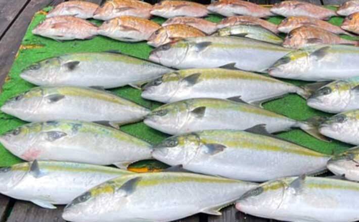 三重 海上釣り堀最新釣果 青物 マダイの2ケタ釣果が各地で続々 21年6月9日 エキサイトニュース 三重 海上釣り堀最新釣果 青物 マダイの2ケタ釣果が各地で続々 21年6月9日 エキサイトニュース
