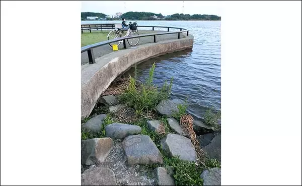 「短時間テナガエビ釣りで本命9尾　梅雨以降は型・数ともに期待【千葉】」の画像