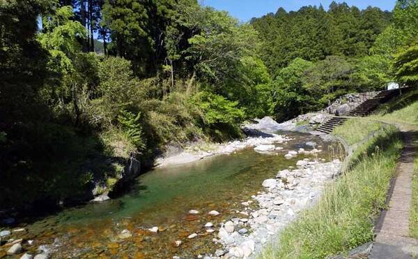 21三重 鮎トモ釣りオススメ河川 櫛田川上流 オトリ止めて釣る 21年6月10日 エキサイトニュース