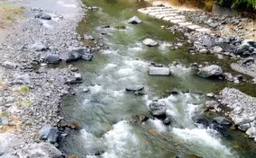 21新潟 アユトモ釣りオススメ河川 魚野川 エリアにより川相多彩 21年6月15日 エキサイトニュース