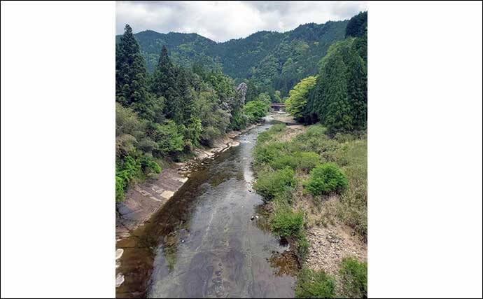 【2021愛知】鮎トモ釣りオススメ河川：振草川　静かにアプローチが吉
