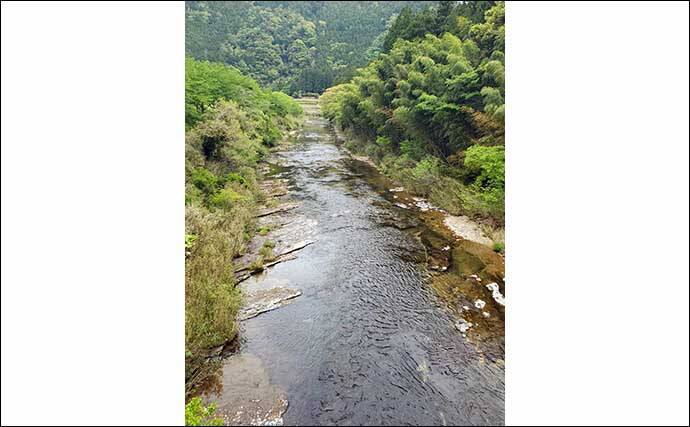 【2021愛知】鮎トモ釣りオススメ河川：振草川　静かにアプローチが吉