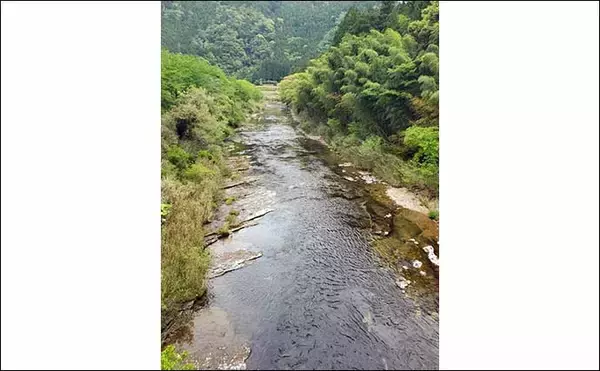 「【2021愛知】鮎トモ釣りオススメ河川：振草川　静かにアプローチが吉」の画像