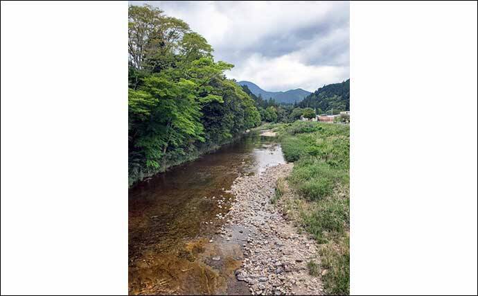 【2021愛知】鮎トモ釣りオススメ河川：振草川　静かにアプローチが吉