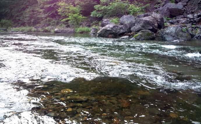 【2021群馬】鮎トモ釣りオススメ河川：神流川　好条件揃った人気河川