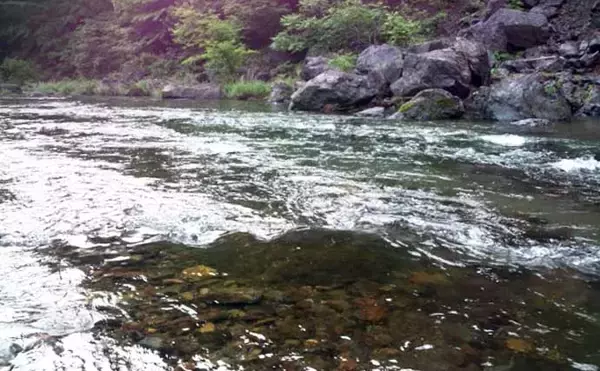 「【2021群馬】鮎トモ釣りオススメ河川：神流川　好条件揃った人気河川」の画像