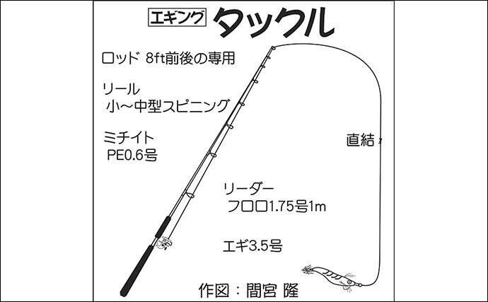 朝マヅメの地磯エギングゲーム 本命アオリイカ手中 神奈川 三浦半島 21年6月日 エキサイトニュース