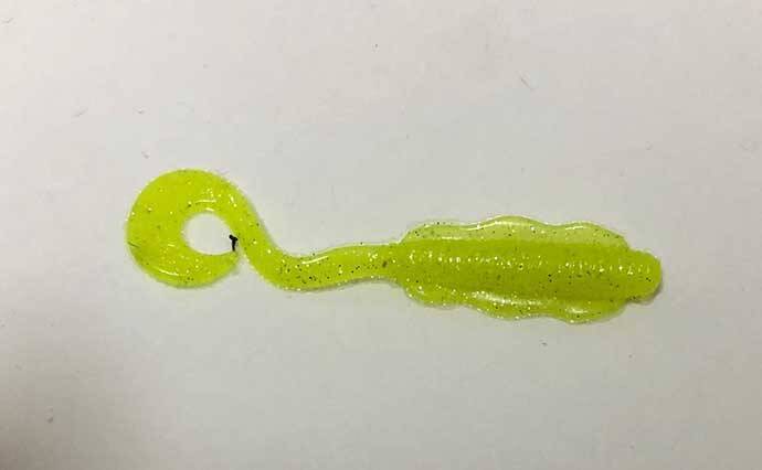 ちょっとマニアックな『アジング』の話：限定的な「レア」パターン5選