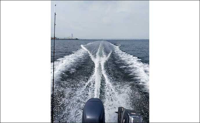 大阪湾ボートサビキ釣りで45cmアジ　マジックでの仕掛け色変更がアタリ？