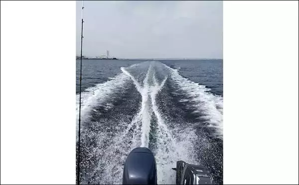 「大阪湾ボートサビキ釣りで45cmアジ　マジックでの仕掛け色変更がアタリ？」の画像