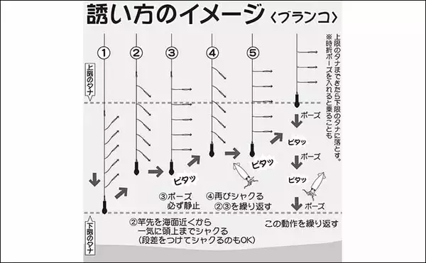 「【2021関東】ムギイカ釣り入門　ブランコ＆直結仕掛けをそれぞれ解説」の画像
