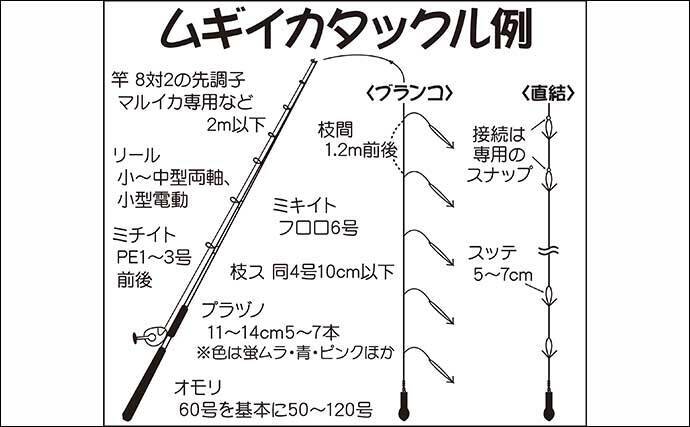 21関東 ムギイカ釣り入門 ブランコ 直結仕掛けをそれぞれ解説 21年6月日 エキサイトニュース