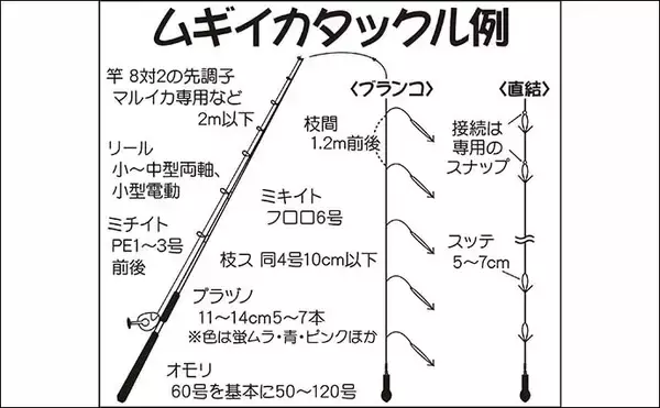 「【2021関東】ムギイカ釣り入門　ブランコ＆直結仕掛けをそれぞれ解説」の画像