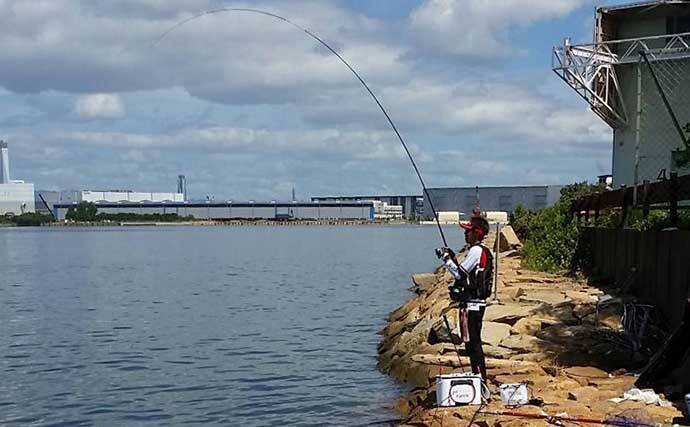 大阪湾 波止フカセチヌ 入門 代表的な3つの釣り場の特徴を押さえよう 21年7月4日 エキサイトニュース 2 2